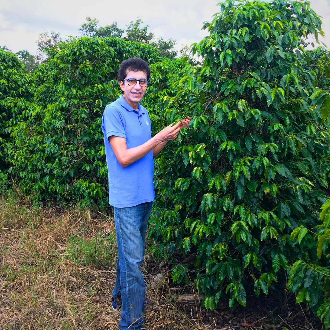 Contextos y Empatía: Cómo la Innovación Transforma la Producción de Café en México